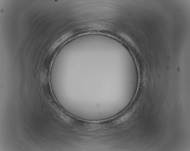 X0000082740873200702091901