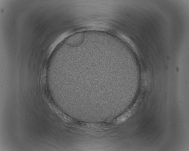 X0000082740875200702091900