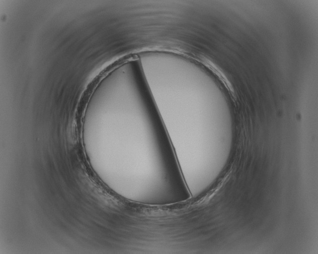 X0000082740876200702091900