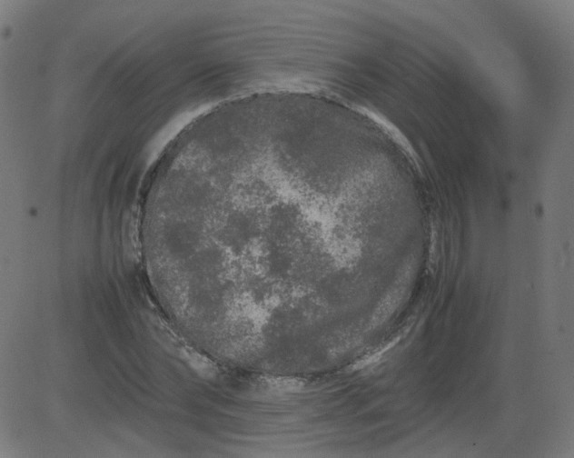 X0000082740878200702091900