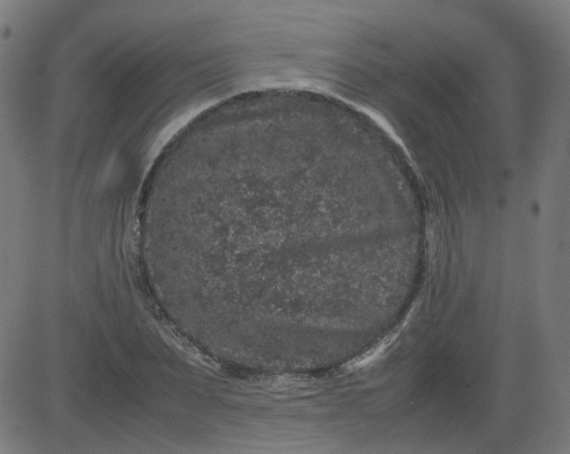 X0000082740879200702091900