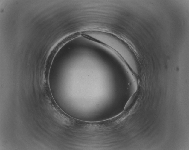 X0000082740880200702091900