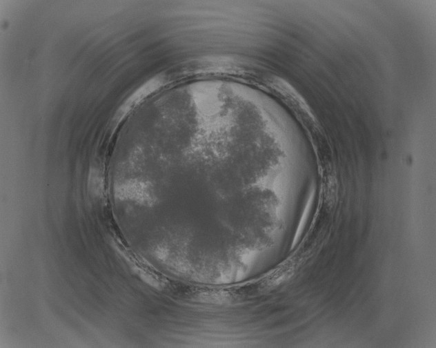 X0000082740882200702091900