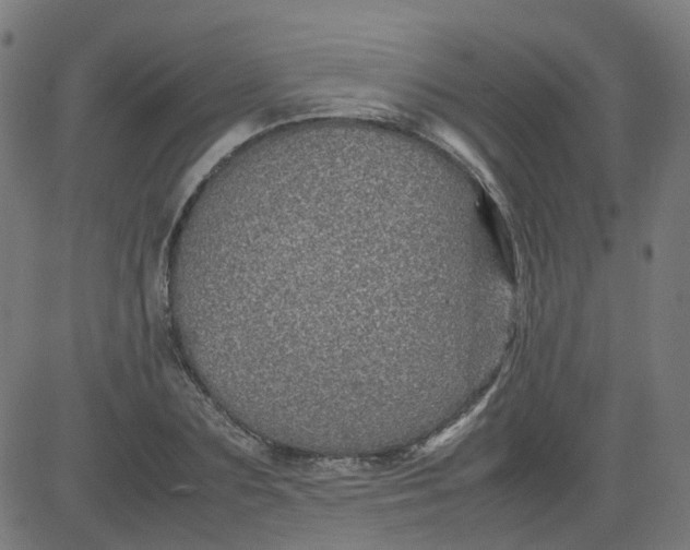 X0000082740883200702091900