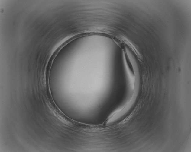 X0000082740884200702091900