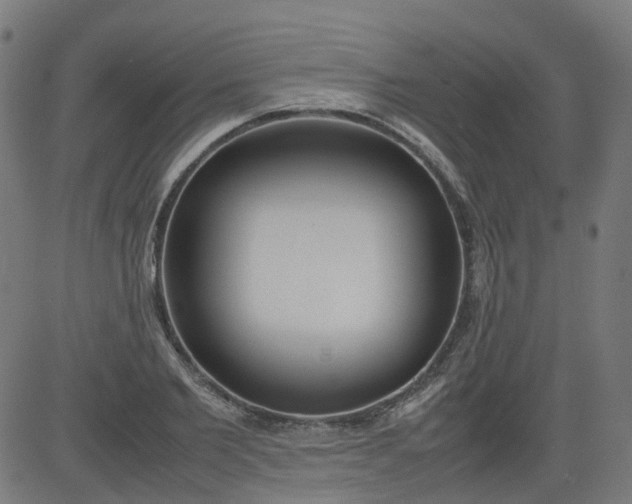 X0000082740885200702091900