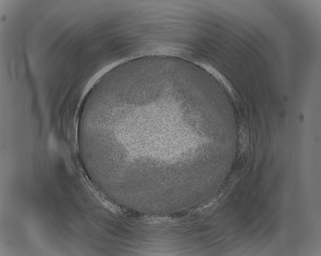 X0000082740886200702091900