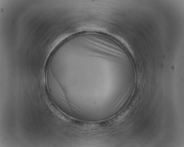 X0000082740887200702091900