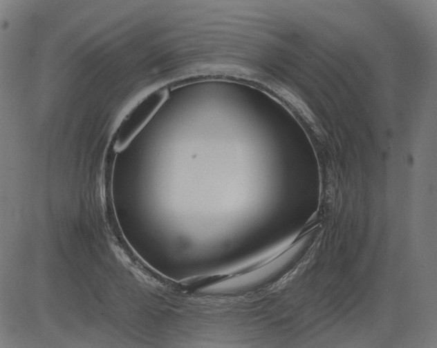 X0000082740888200702091900