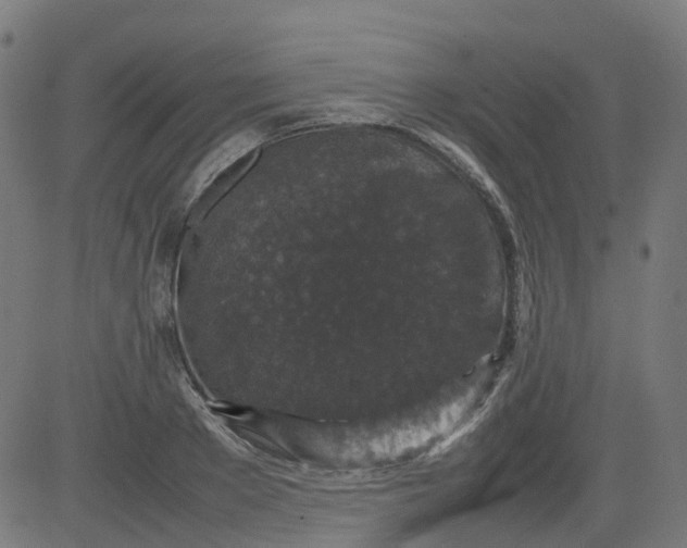 X0000082740889200702091900