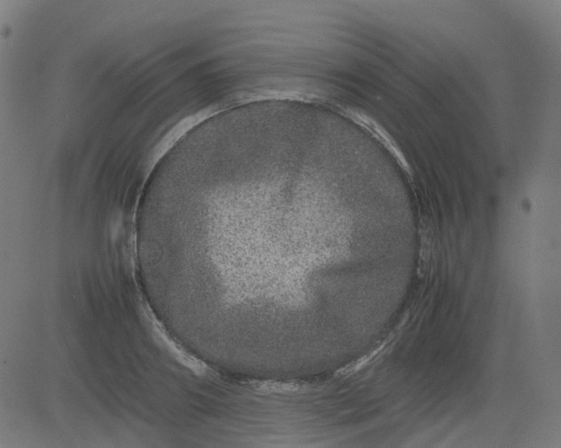 X0000082740890200702091900