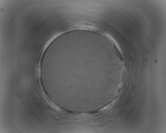 X0000082740891200702091900