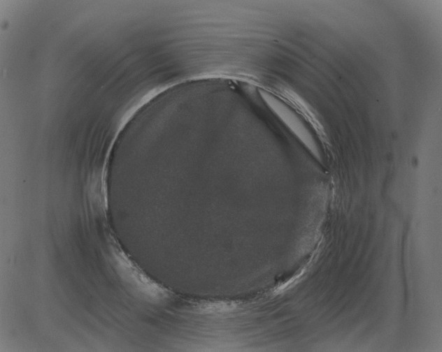 X0000082740892200702091900