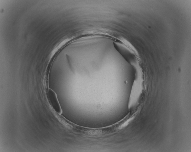 X0000082740893200702091900