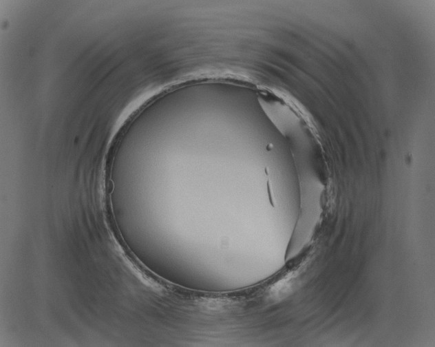 X0000082740894200702091900