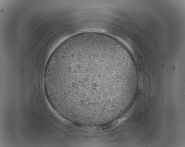 X0000082740895200702091900