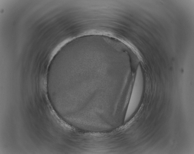 X0000082740896200702091900