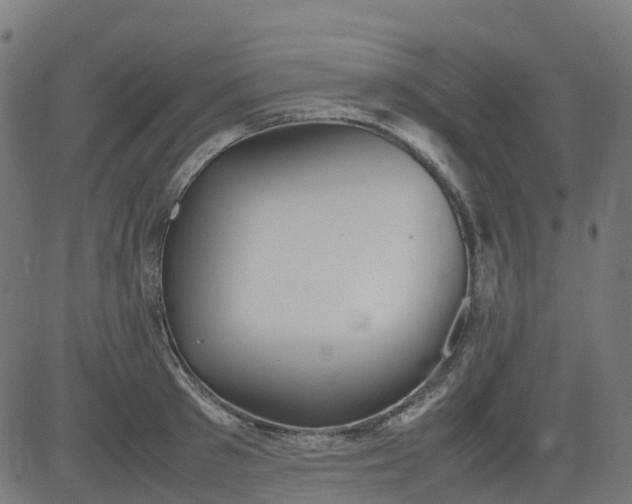 X0000082740897200702091900