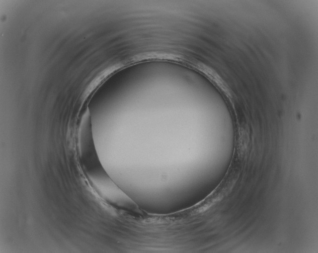 X0000082740898200702091900