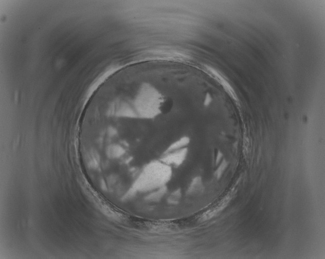 X0000082740899200702091900