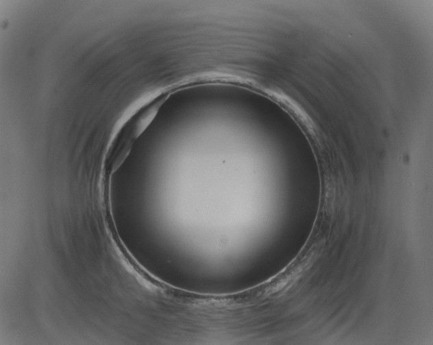 X0000082740902200702091900