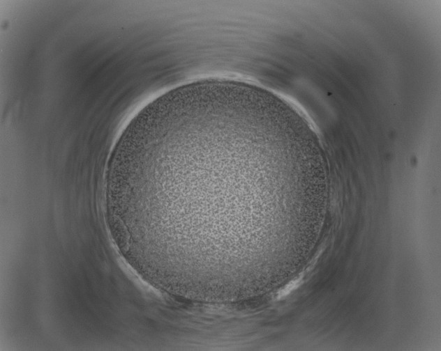 X0000082740903200702091900