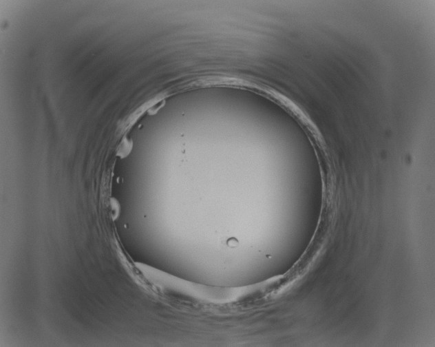 X0000082740905200702091900