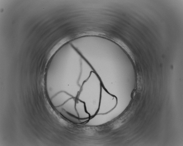 X0000082740906200702091900