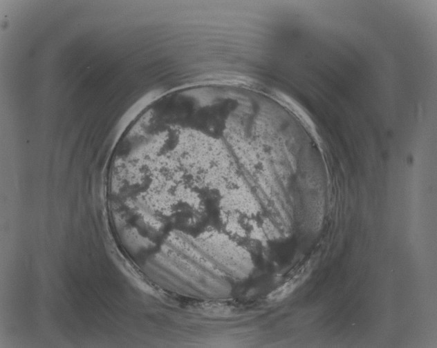 X0000082740907200702091900