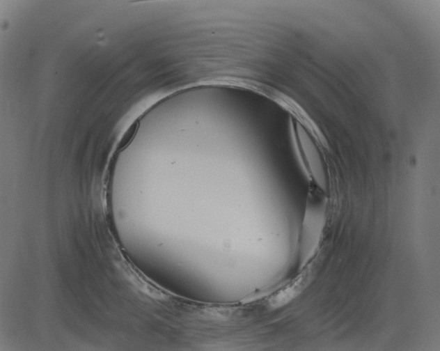 X0000082740908200702091900