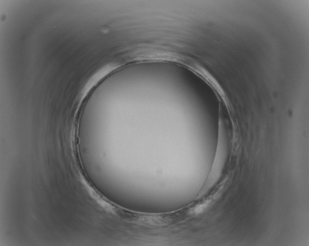 X0000082740909200702091900