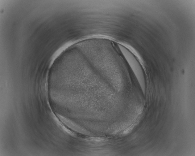 X0000082740910200702091900