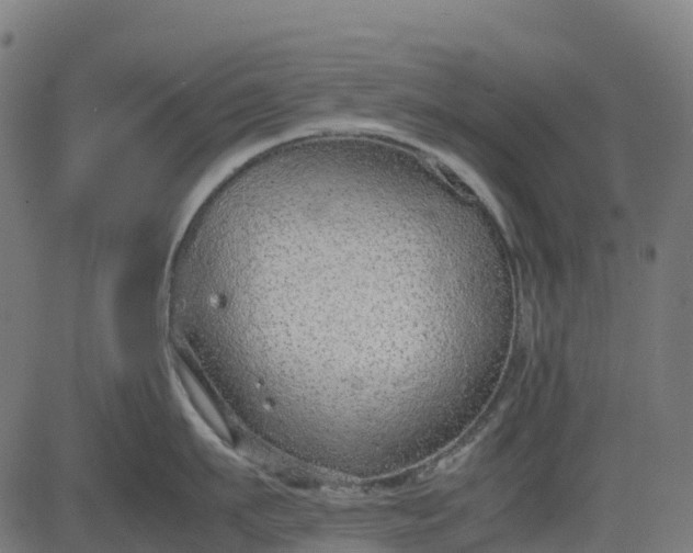 X0000082740911200702091900