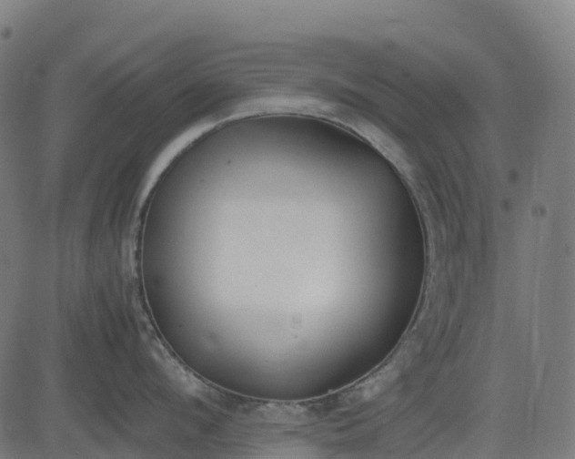 X0000082740912200702091900