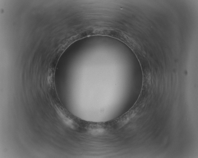 X0000082740914200702091859