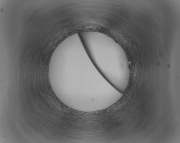 X0000082740916200702091859