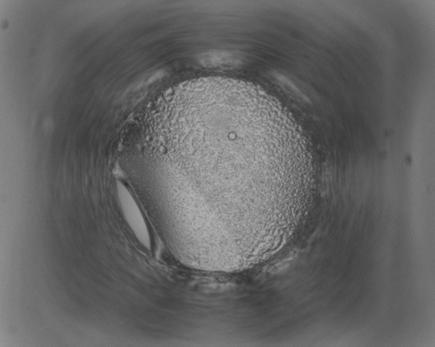 X0000082740917200702091859