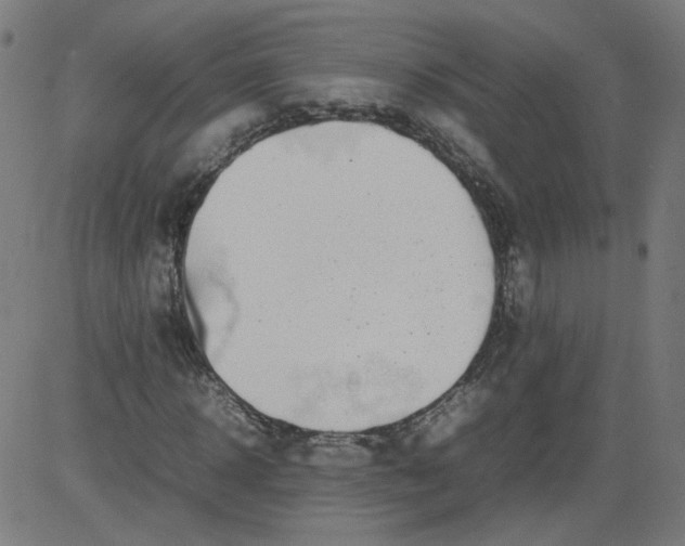 X0000082740918200702091859