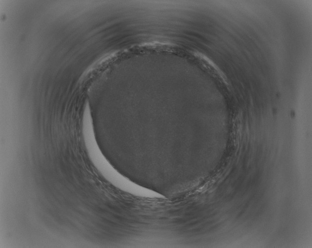 X0000082740919200702091859