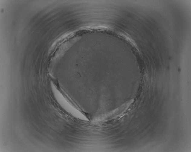 X0000082740920200702091859