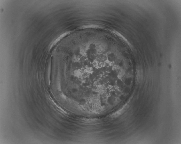 X0000082740921200702091859