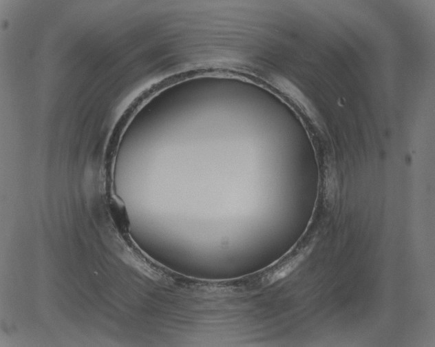 X0000082740924200702091859