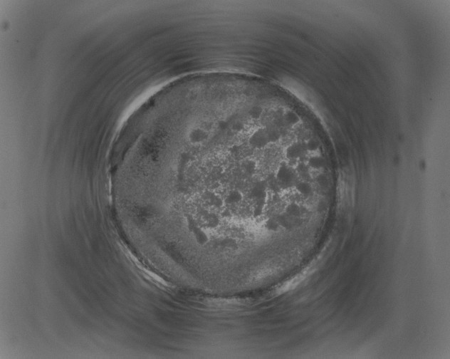 X0000082740925200702091859