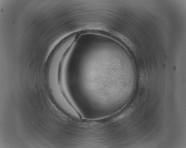 X0000082740926200702091859