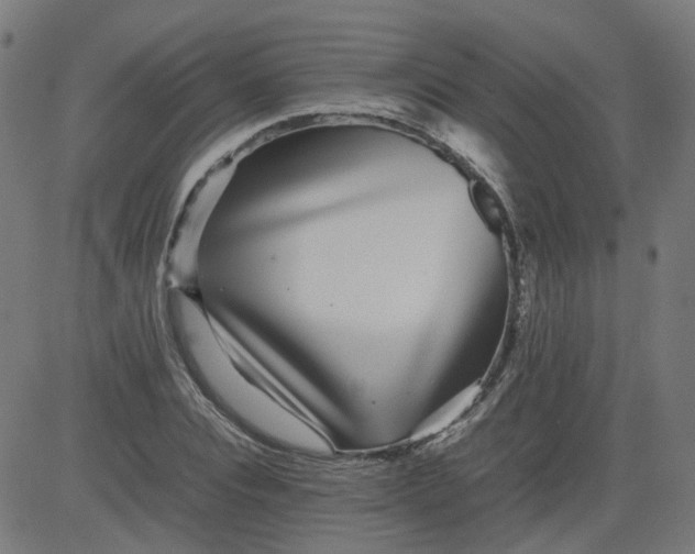 X0000082740928200702091859