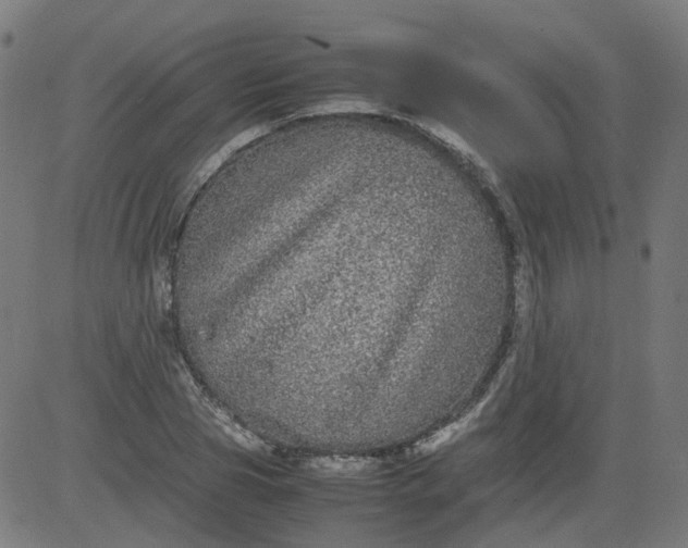 X0000082740929200702091859