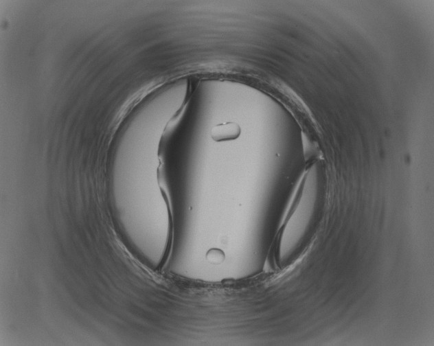 X0000082740930200702091859