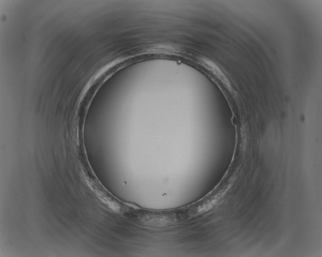 X0000082740931200702091859