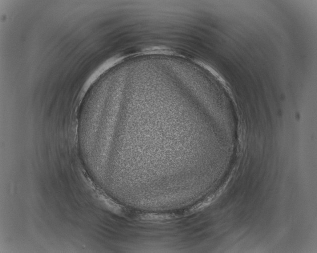 X0000082740933200702091859