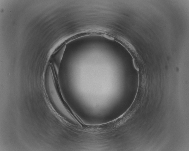 X0000082740936200702091859